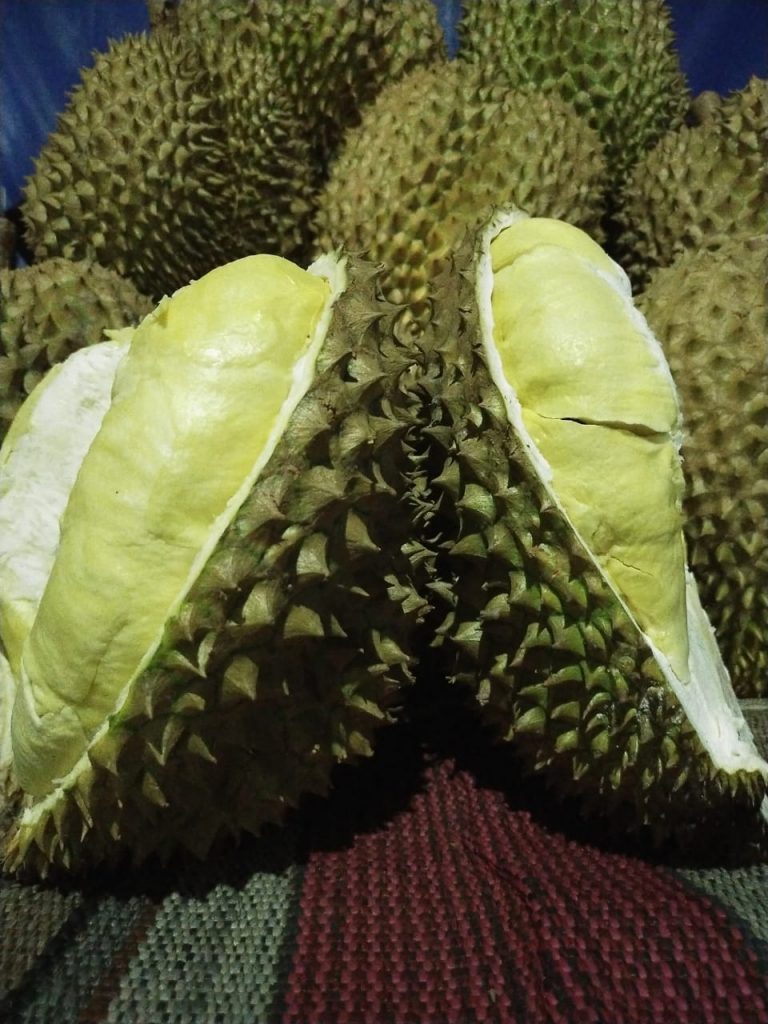 Durian Si Raja Buah Durianbox